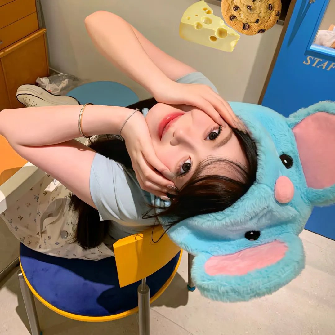 森林之境